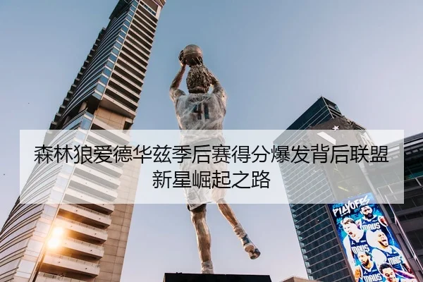 森林狼爱德华兹季后赛得分爆发背后联盟新星崛起之路