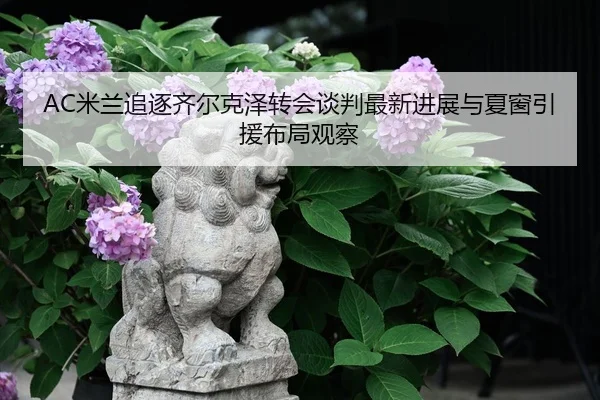 AC米兰追逐齐尔克泽转会谈判最新进展与夏窗引援布局观察