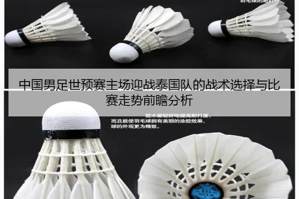 中国男足世预赛主场迎战泰国队的战术选择与比赛走势前瞻分析