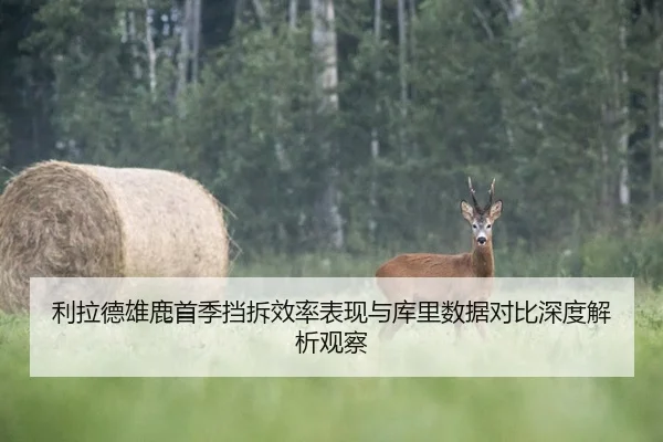 利拉德雄鹿首季挡拆效率表现与库里数据对比深度解析观察