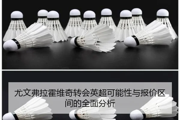 尤文弗拉霍维奇转会英超可能性与报价区间的全面分析
